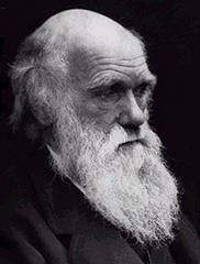 <p>Person most associated with the concept of evolution. </p><p>Wrote: "On the Origins of Species"</p>