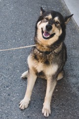 <p>Warm and friendly, pleasant, approachable</p>