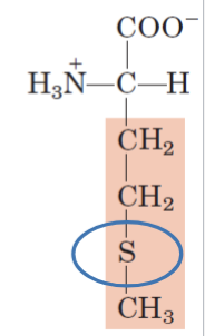 <p>Nonpolar</p><p>Thioester</p>
