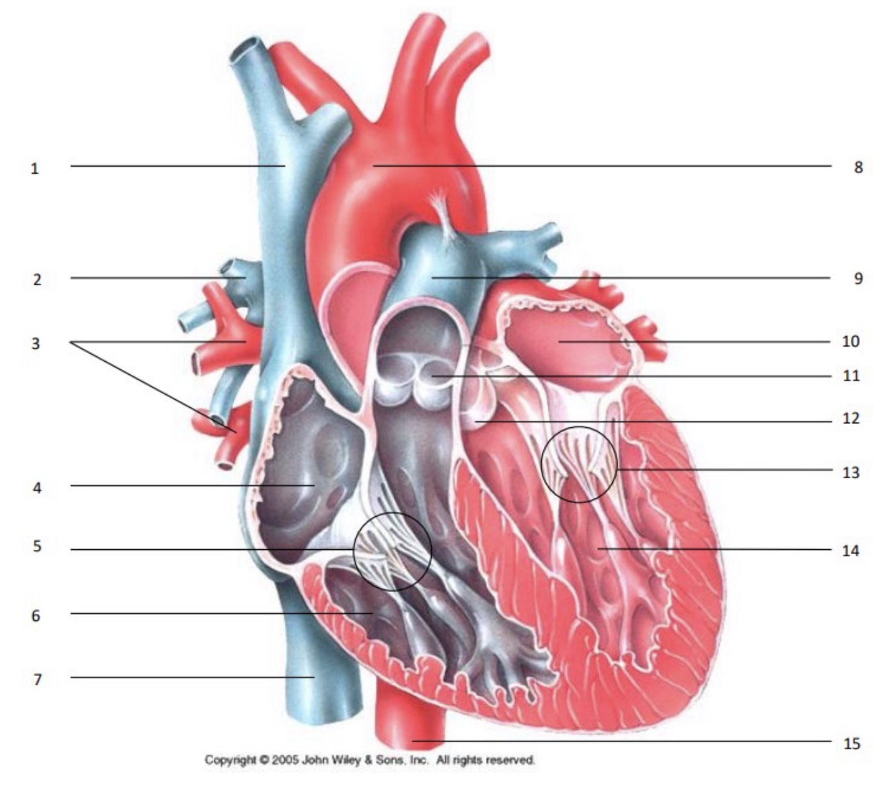 <p>9</p>