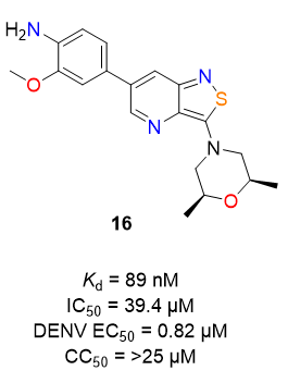 <p><strong><mark data-color="red" style="background-color: red; color: inherit;">IC50 should be nM</mark></strong></p><p>not from the paper that discovered this compound but form the paper discussing 3,5 substitution instead of 3,6 —> <strong>wrongly cited</strong></p><p>compound 16 showed antiviral activity against Dengue Fever, Hepatitis C, Ebola Virus Disease, and Chikungunya by inhibiting Cyclin G-associated kinase (GAK), a host protein needed for viral replication. However, it likely did not advance into a medicine because it had d<strong> no evidence of progression into clinical development.</strong></p><p>Drugdevelopment also requires the optimization of other properties such as:</p><ul><li><p>cell toxicity and a safe therapeutic window,</p></li><li><p>solubility</p></li><li><p>selectivity over other kinases</p></li><li><p>pharmacokinetics</p></li></ul><p></p>