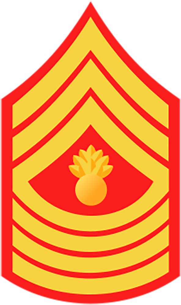 <p>What is the E9 technical noncommissioned officer Marines title and acronym? </p>
