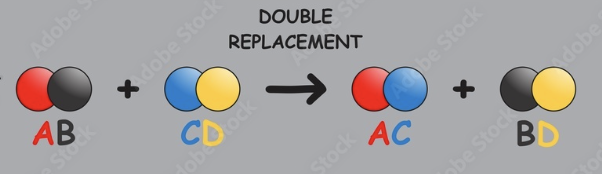 <p>elements in two compounds swapping places to form two new compounds</p>