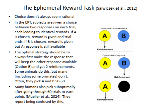 <p><strong>Ephemeral Reward Task</strong></p>