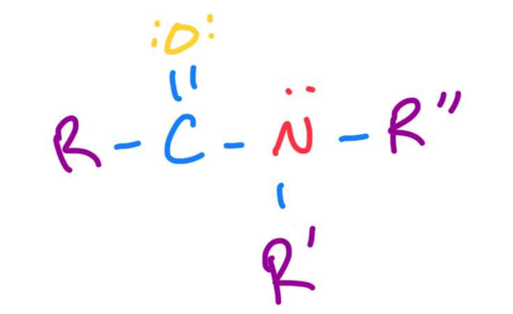<p>Has a C-O double bond and C-N single bond with three R groups</p>
