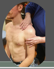 <p>1. behind patient</p><p>2. have patient lean into your hand right below humeral head</p><p>3. stabilize scapula and press down on clavicle</p>