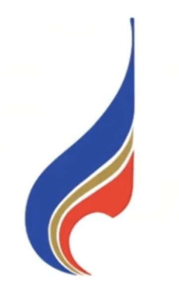 <p>BANGKOK AIRWAYS</p>