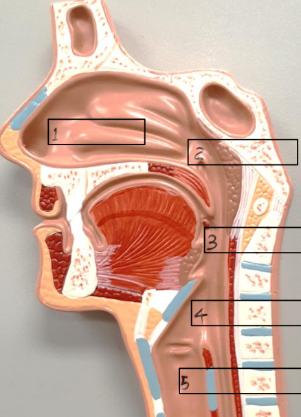 <p>Label this image.</p>