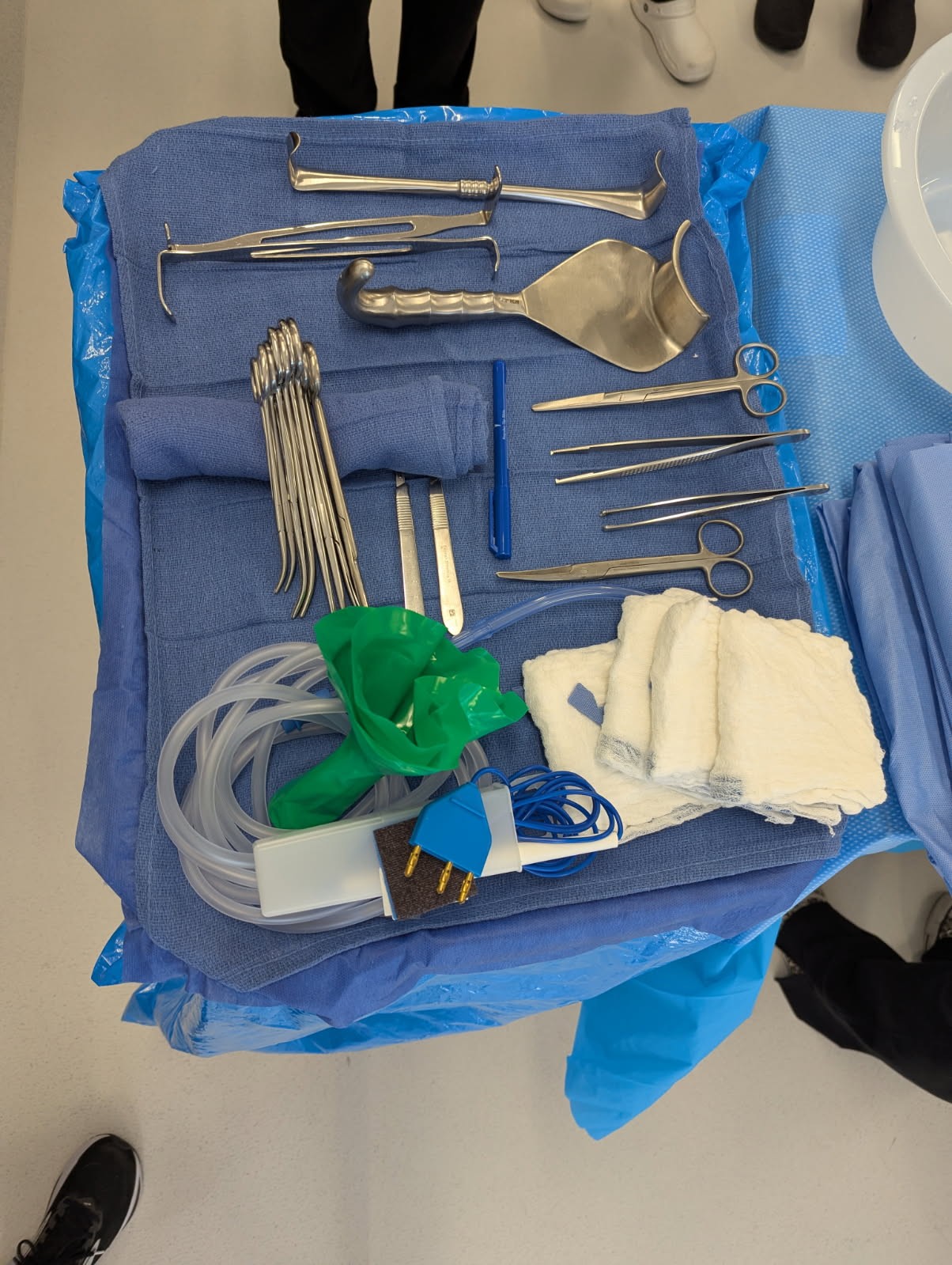 <p>primary incision: 2 #10s</p><p></p><p>pickups: Bonnie, adson tissue, Russian</p><p></p><p>retractors: 1x Rich, 1x Bladder blade</p><p></p><p>clamps: 2x Kochers, 2x Criles, x4 Kellys, Bovie</p><p></p><p>scissors: Metz, Cvd Mayo, ST Mayo, bandage</p><p></p><p>other: LH covers, Yankauer, 2x Laps, scratch pad, ruler, marker</p>