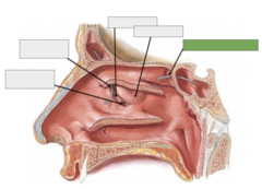 <p>Openings: this is the</p>