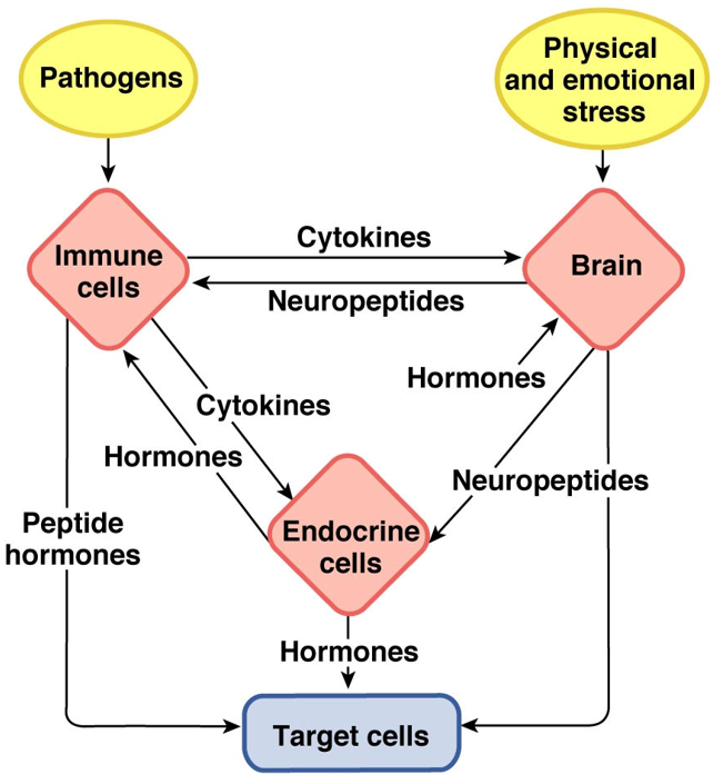 <p>It looks like this</p>