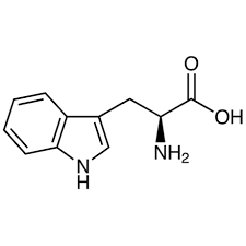 <p>What is this amino acid and its codon?</p>