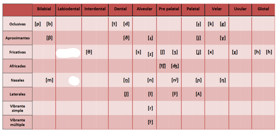 <p>Labiodental</p>
