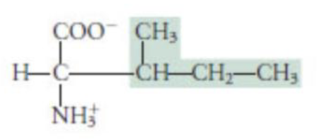 <p>hydrophobic</p>