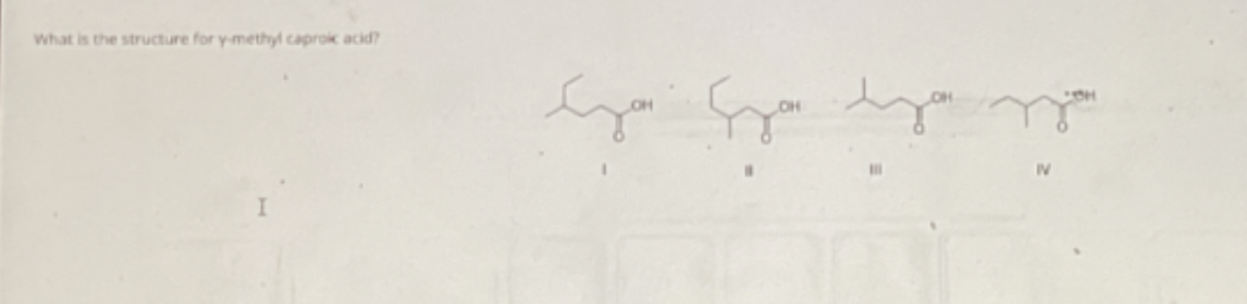 <p>The structure for y-methyl caproic acid</p>
