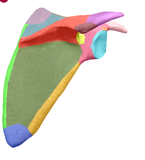 term image