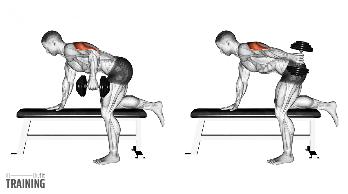 <p>Triceps </p>