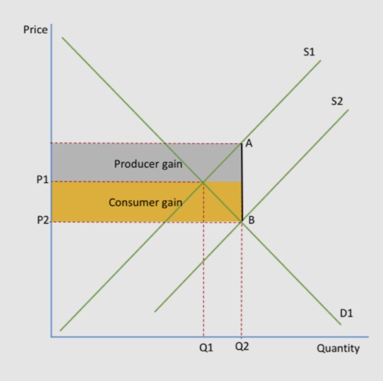 <ul><li><p>A subsidy lowers firms’ costs, so supply shifts right from S1 to S2</p></li><li><p>price falls from P1 to P2; quantity rises from Q1 to Q2; consumers pay less and producers receive more, so both gain</p></li><li><p>the total area represents government spending on the subsidy</p></li><li><p>the distribution of benefits depends on elasticity</p></li></ul><p></p>