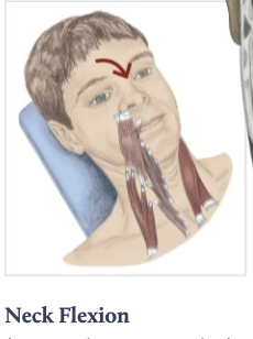 <p>neck flexion</p>