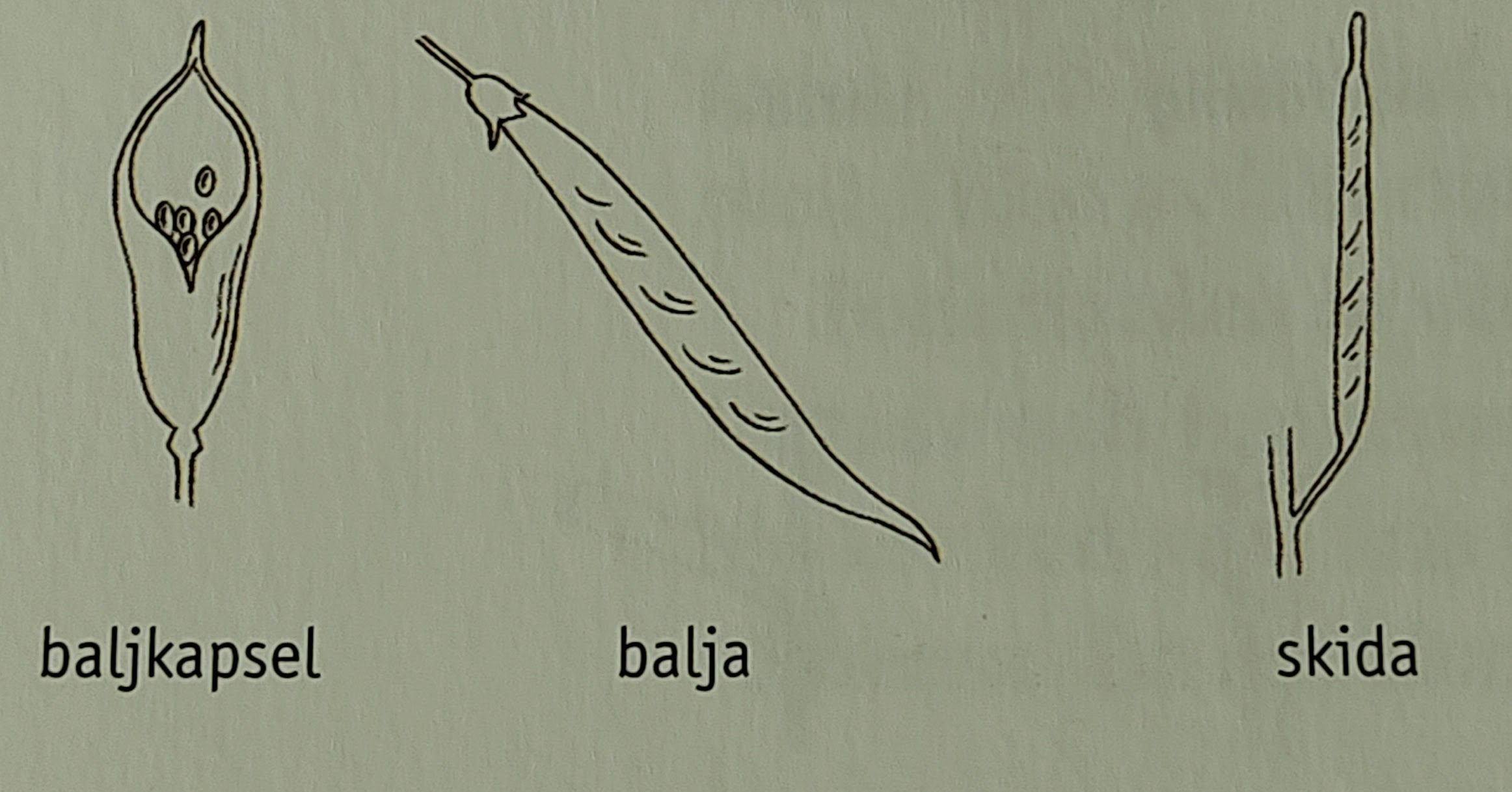 <p></p>