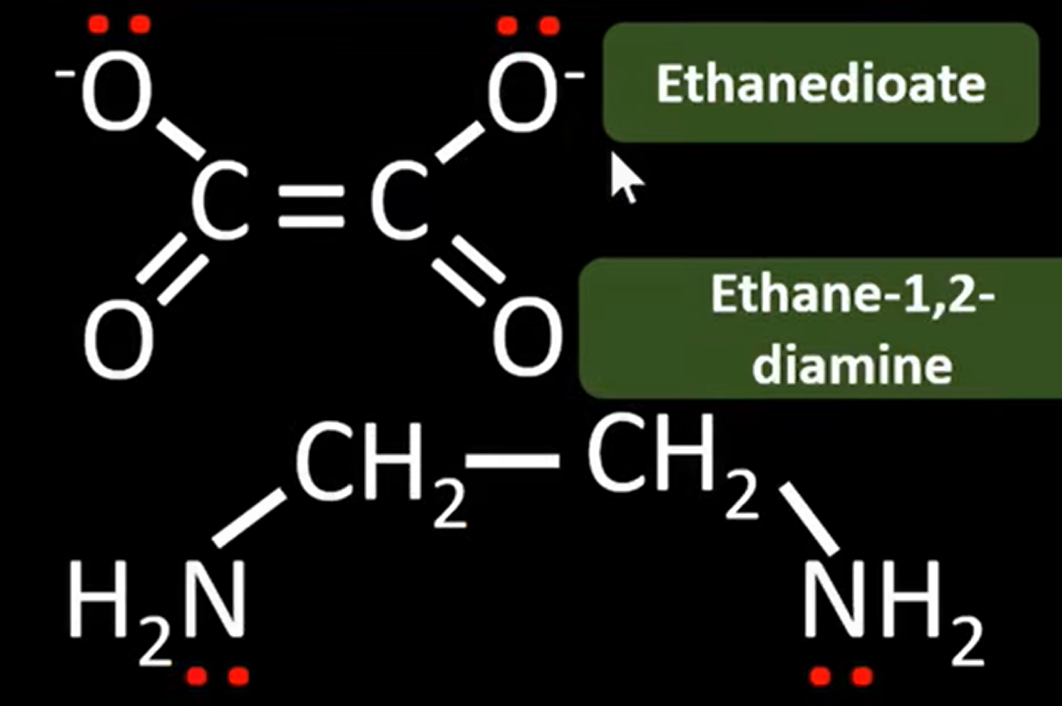 <p>A ligand that forms two co-ordinate bonds to the central metal ion (2 lone pairs to donate). Examples include:</p><ul><li><p>ethanedioate</p></li><li><p>ethane-1,2-diamine (shortened name → en)</p></li></ul><p></p>