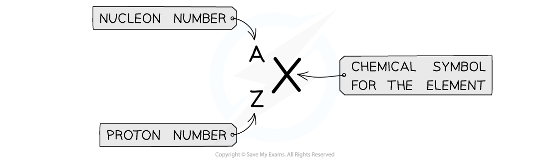 <p>How are different nuclei represented?</p>