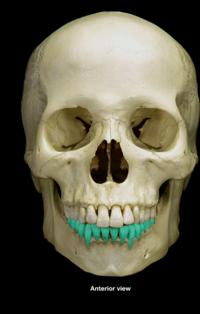 knowt flashcard image