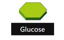 <p>Monosaccharide </p>