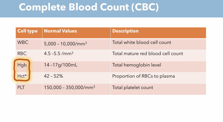 <ul><li><p>WBC (white blood cells</p></li><li><p>RBC (red blood cells)</p></li><li><p>Hgb (hemoglobin)</p></li><li><p>Hct (hematocrit)</p></li></ul><p></p>
