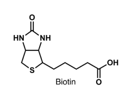 <p>what is this compound?</p>