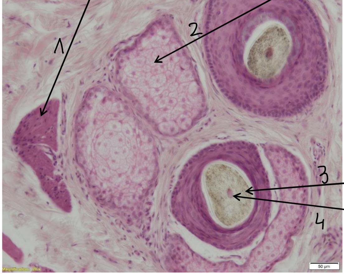 <p>1</p>