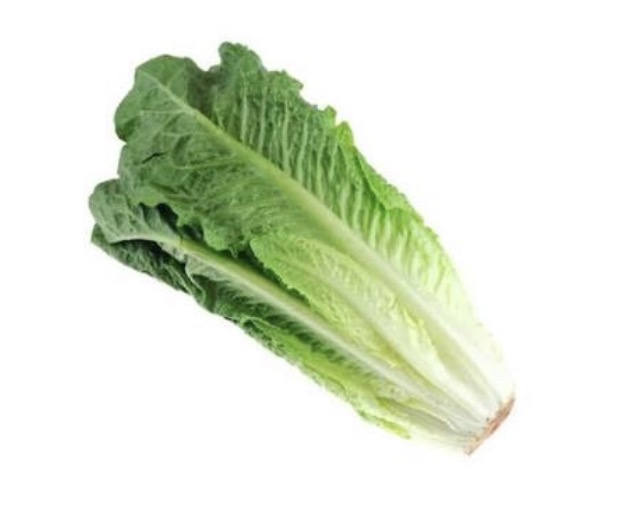 <p>Romaine lettuce</p>