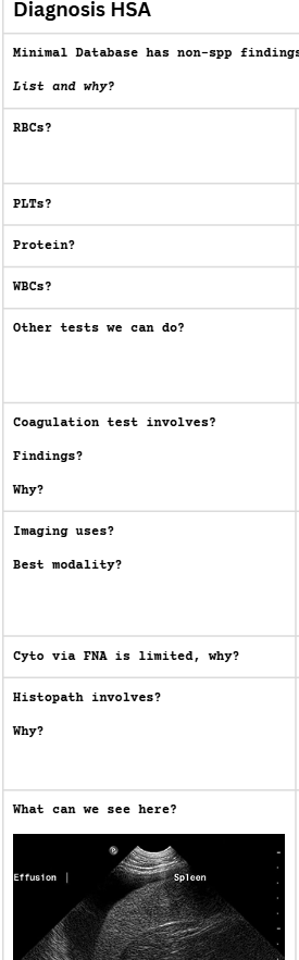 <p>HSA</p>