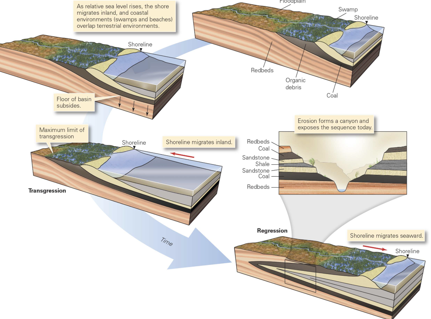 <p>inland migration of shoreline resulting from a rise in sea level</p>
