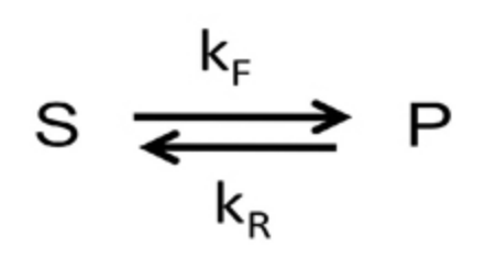 <p>Consider&nbsp;the reaction above to answer the two questions below based on the following information.</p><p>For the uncatalyzed reaction,&nbsp;k<sub>F(uncatalyzed)</sub> =&nbsp;5 X 10<sup>-4</sup> s<sup>-1</sup> and K<sub>eq</sub> is 2.5 X 10<sup>2</sup>.<sup>&nbsp; </sup>For the same reaction in the presence of an enzyme, k<sub>F(catalyzed)</sub> is 5 X 10<sup>5</sup> s<sup>-1</sup>.&nbsp; &nbsp;</p><p>Remember that K<sub>eq</sub>&nbsp;= k<sub>F</sub>/k<sub>R</sub> = k<sub>1</sub>/k<sub>-1</sub>.</p><p>A.) What is the rate enhancement of the catalyzed reaction in the forward direction?</p><p>B.) What is the value for&nbsp; k<sub>R(catalyzed)</sub>?</p>