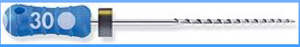 <p>what kind of file is this? </p>