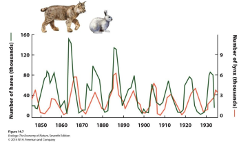 <p>Population cycles?</p>