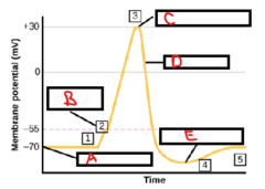 <p>What is B?</p>
