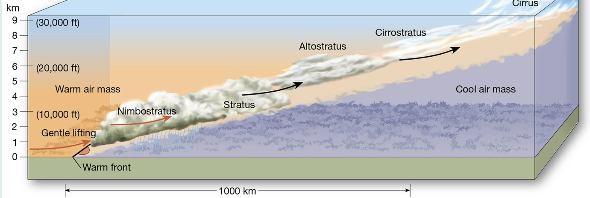 <p><span style="background-color: transparent;">temperatures rise when warm front passes&nbsp;</span></p><ul><li><p>as air in a warm front over cooler air, it cools </p></li><li><p>forms a gentle slope and a large area of atmospheric lifting </p></li><li><p>Wide zone of clouds, precipitation before the warm front arises </p></li></ul><p></p>