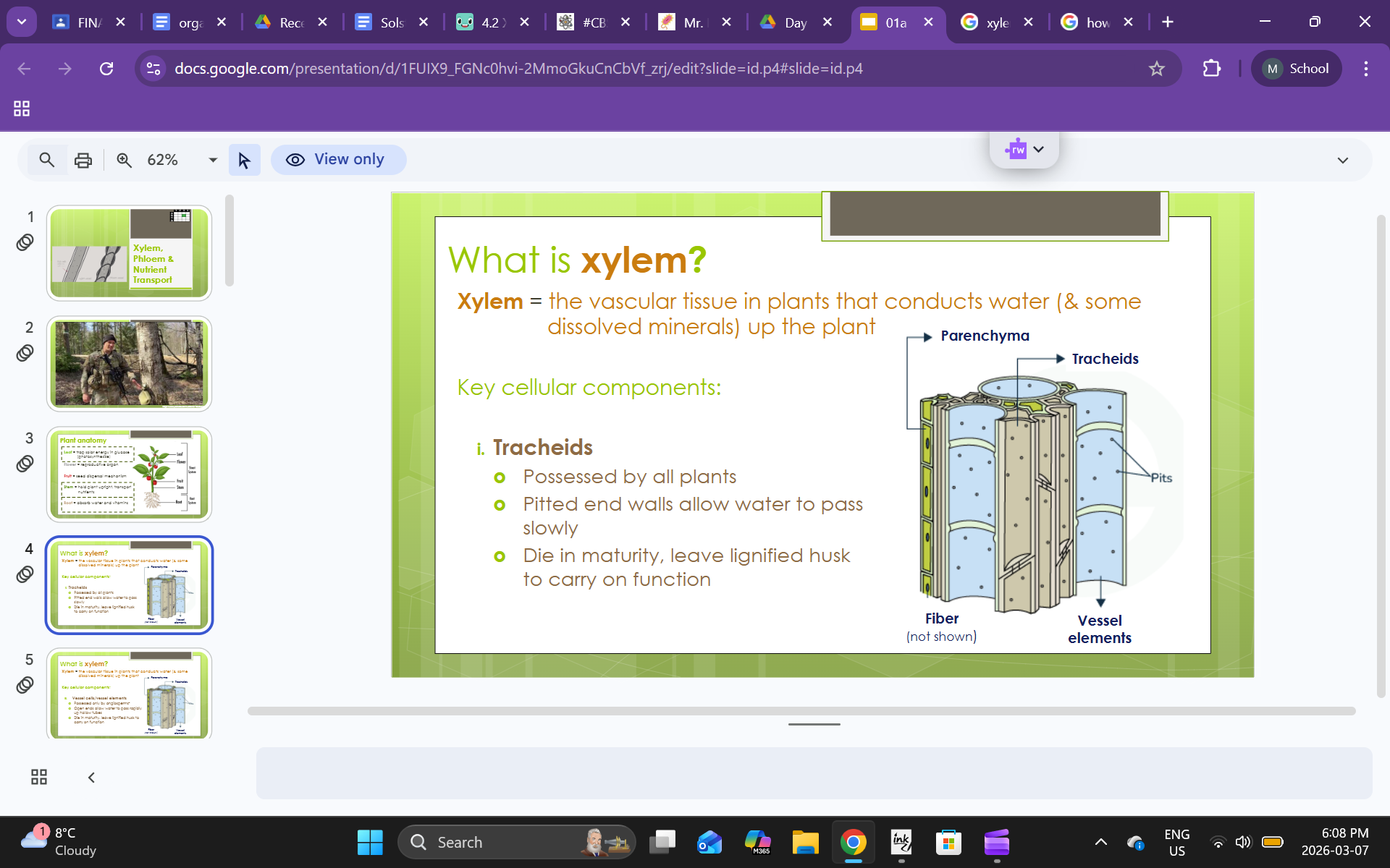 knowt flashcard image