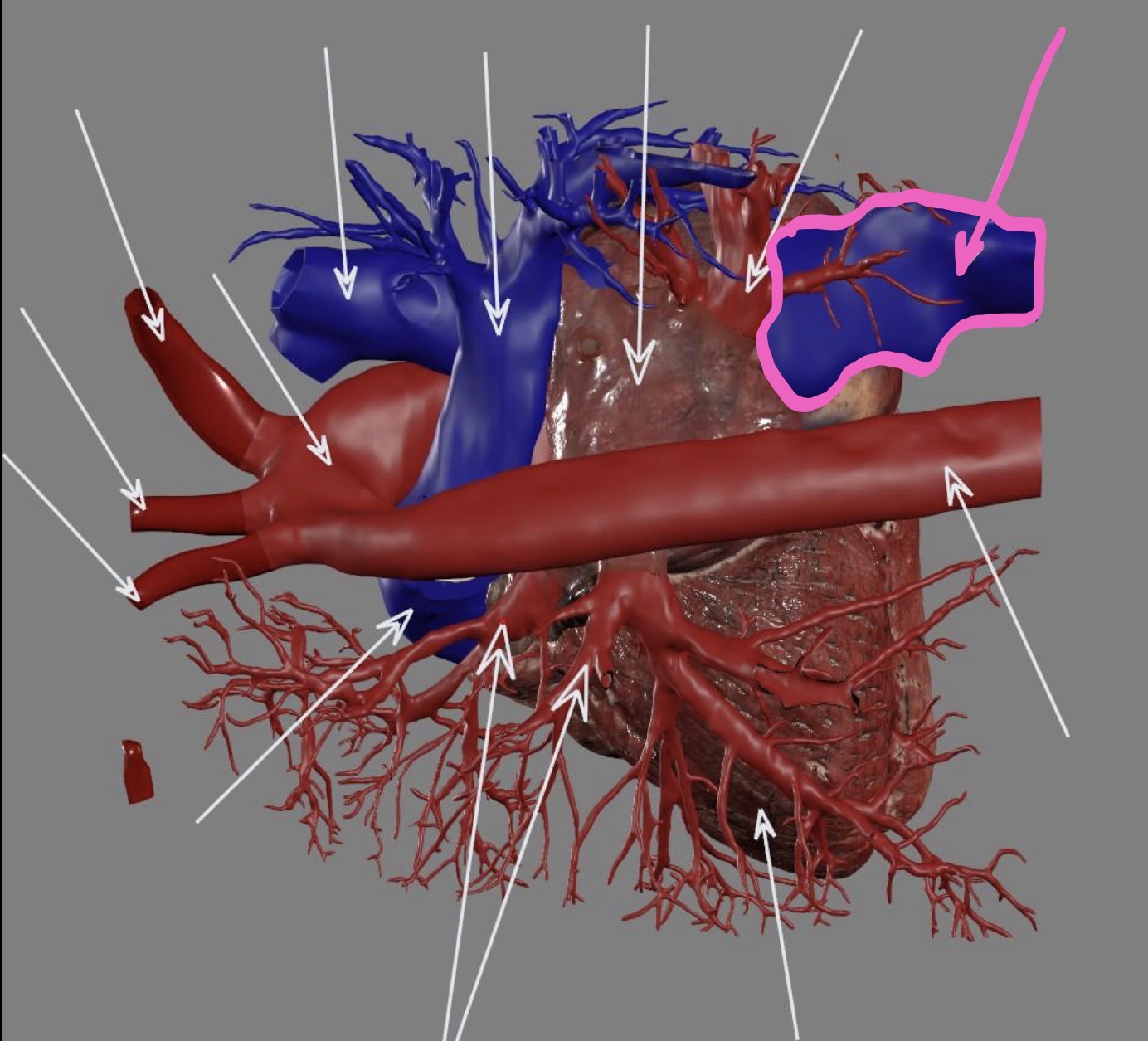 <p>What’s the highlighted area?</p>