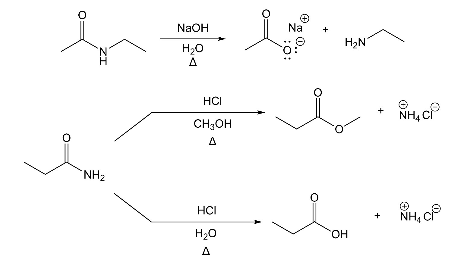 <p>Ester Hydrolysis</p>