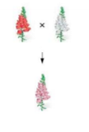 <ul><li><p>heterozygote has a unique phenotype compared to both types of homozygotes</p></li><li><p>heterozygote has an intermediate phenotype</p></li><li><p>ex. AA red father, aa white mother: Aa pink child</p></li></ul><p></p>