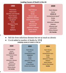 <p>Still die from infectious diseases but not as much as chronic </p><p>Covid added to number of deaths by 20%</p><p>By 2024 covid not in top 10</p>