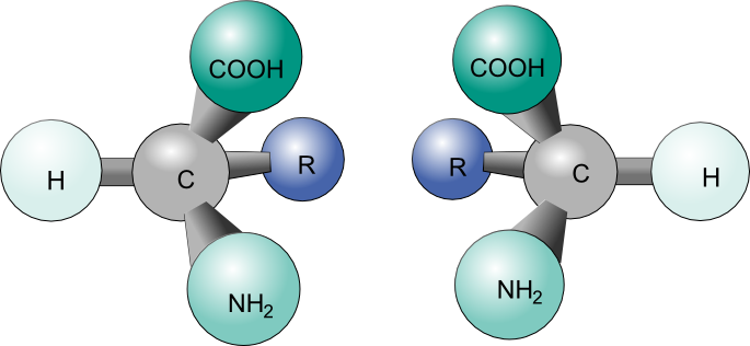 <p><strong>☆ what symmetry elements can make a molecule achiral?</strong></p>