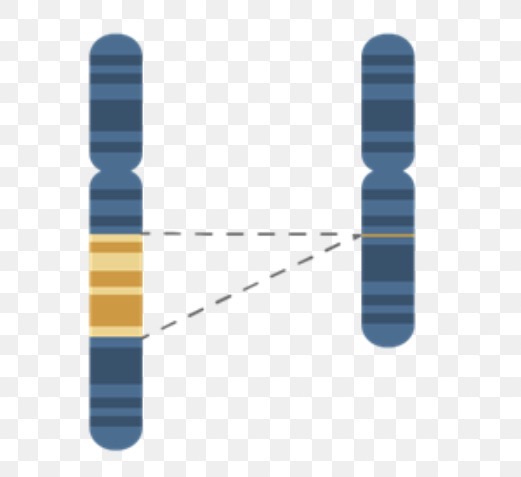 <p>What is this?</p>