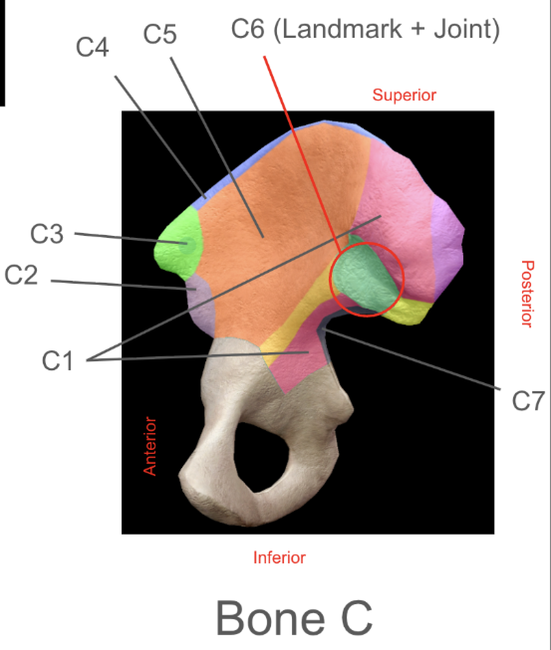term image