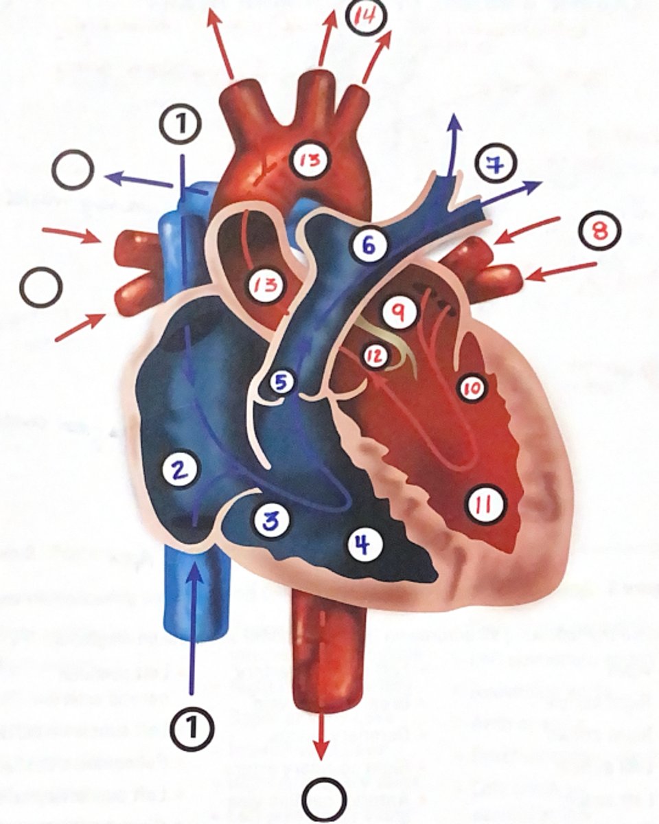 <p>#6</p>
