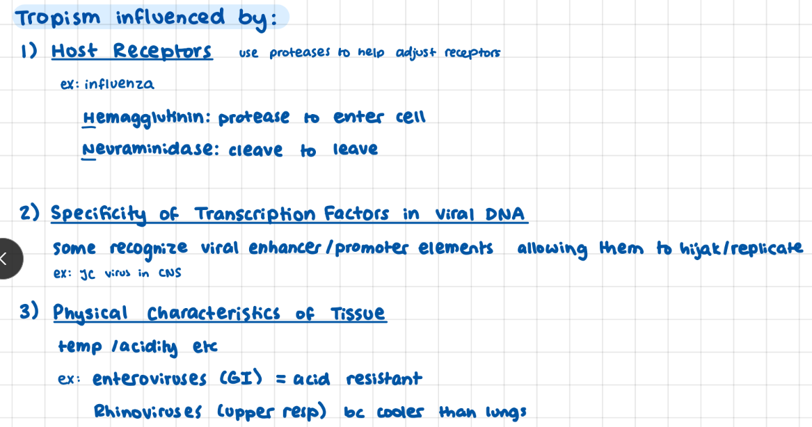 <p>host receptors</p><p>environment</p><p>DNA transcription factors</p>