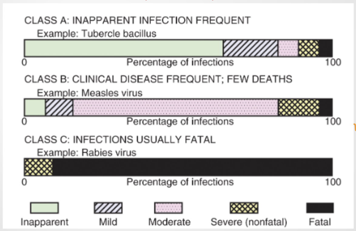 <p>CLICKER QUESTION:From a public health perspective, where should limited public health dollars be spent and why?</p>